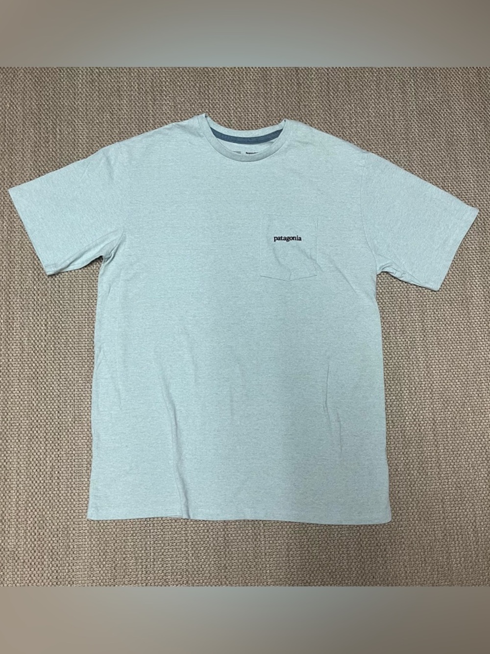 Patagonia Men's Small Short Sleeve Crewneck T-Shirt in Light Blue